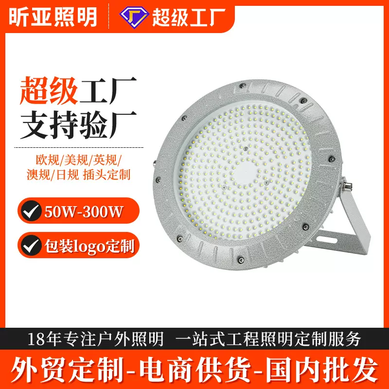 跨境国标防爆照明灯免维护仓库工业加油站专用支架LED工矿灯定制