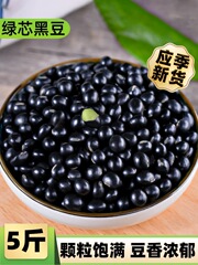 23新货绿芯大黑豆5斤 农家青仁乌皮绿心黑豆子 豆浆发芽大黑乌豆