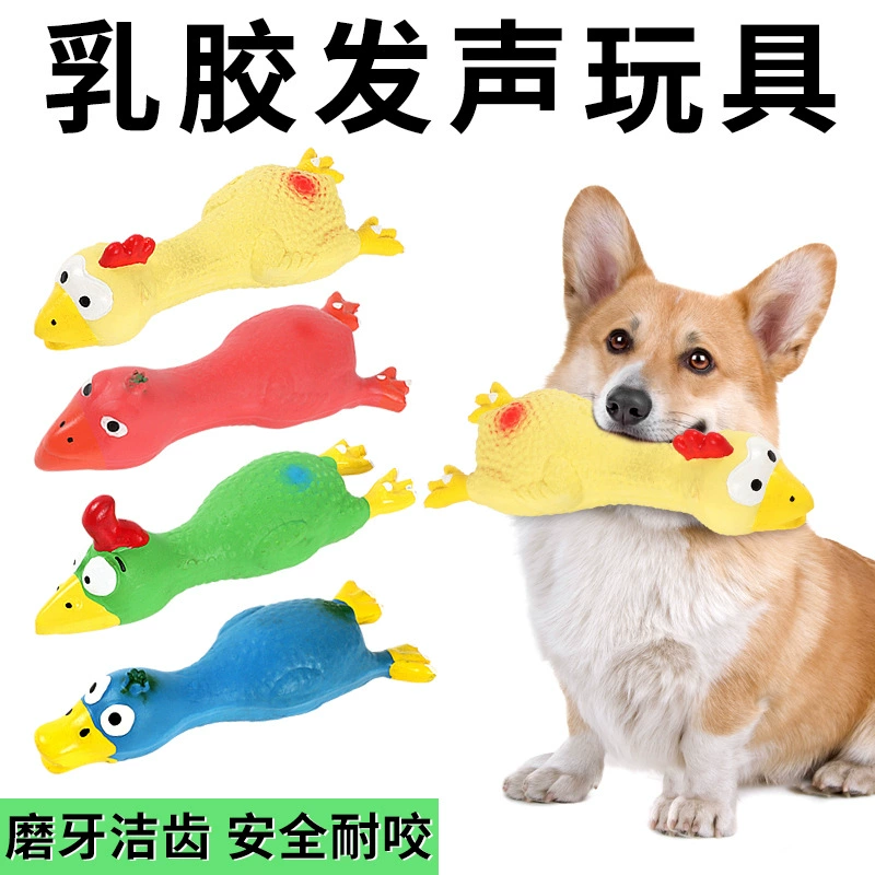 Латексная игрушка для собак Тедди Бишон, скрежетание зубами, устойчивость к укусам, снятие скуки, игрушка, издающая звуки, дрессировка, кричащая курица, интерактивный артефакт