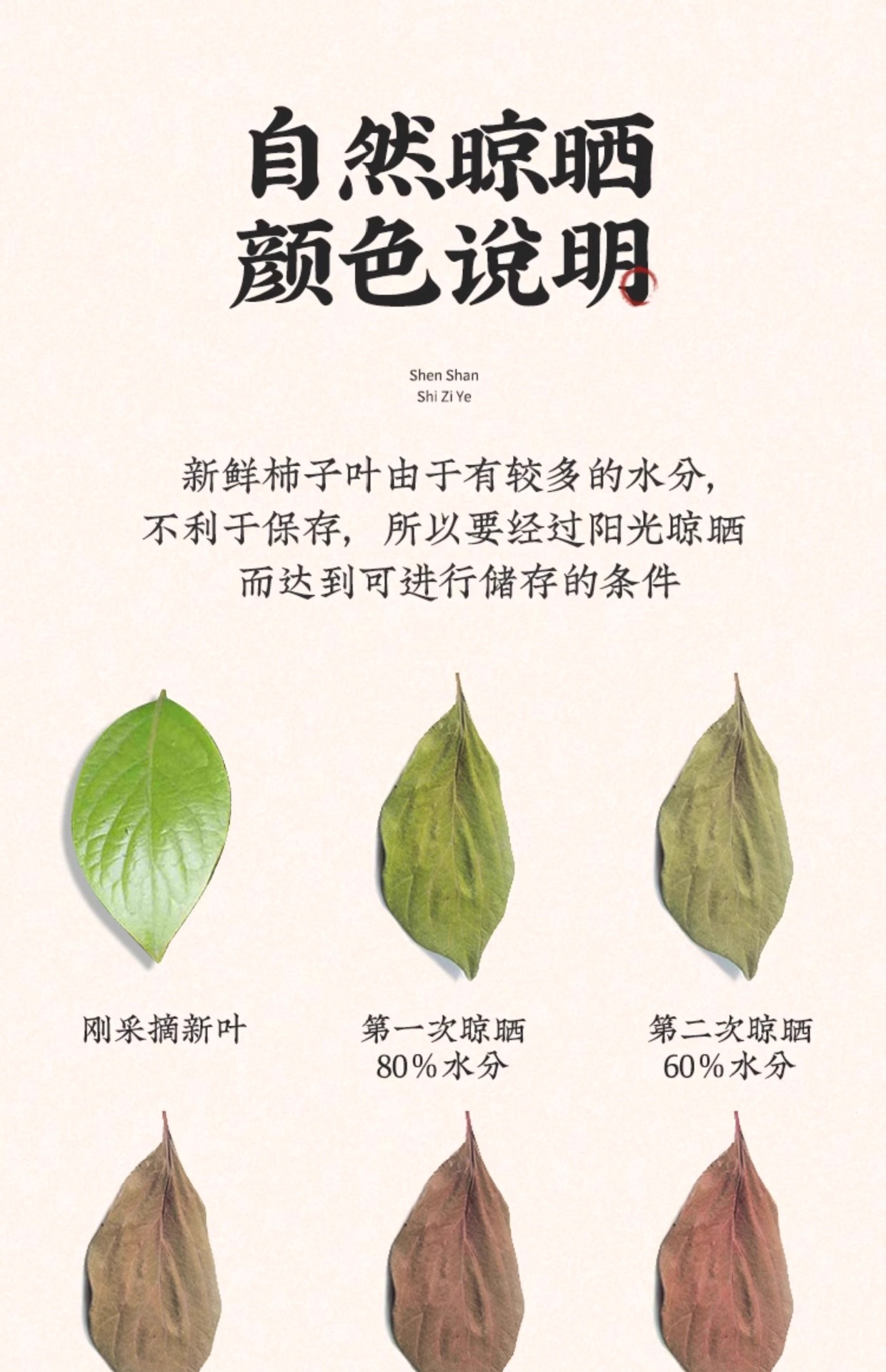 Dried Persimmon Leaf Tea Shi Ye 柿叶 100g Bag Herbal Infusion for Daily Wellness Brewing preparation
