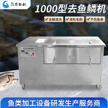 ƺrӹSó~[NO 늄1000͚~ȥ~[O