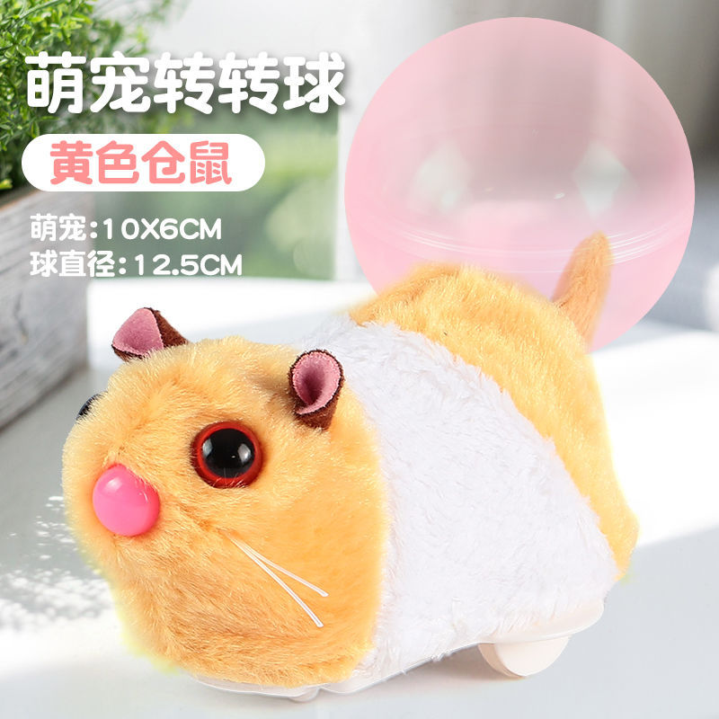 노란색과 흰색 햄스터