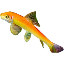 ��̦���~��̦������̦�����~�^�p�Ꭷ�~����ˮ����w�Ꭷ�~����