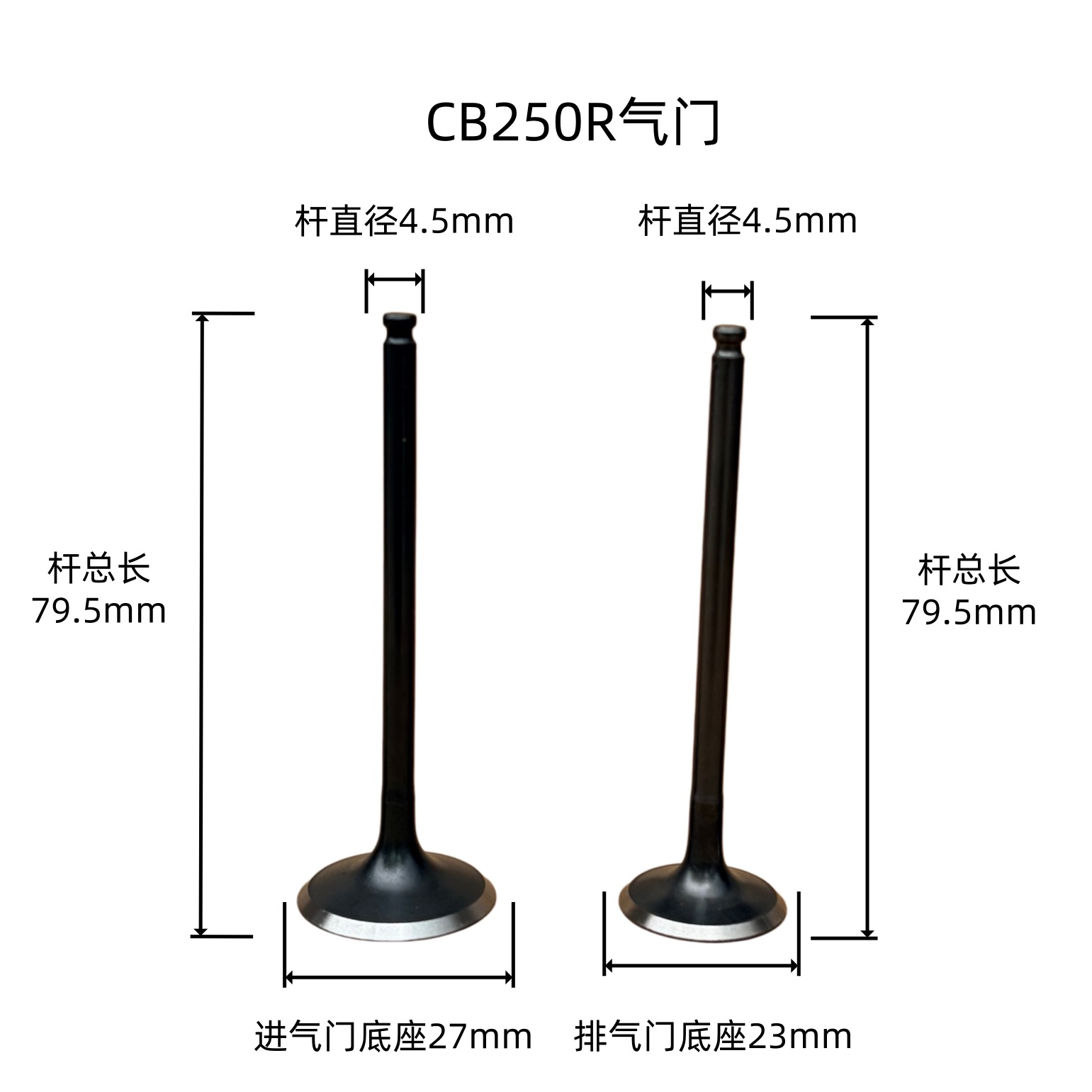Zongshen CB250R CB300RL engine parts, off-road vehicle four-valve ZS172FMM-6 valve oil seal