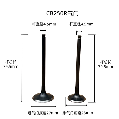 Zongshen CB250R CB300RL Motorcycle engine and accessories