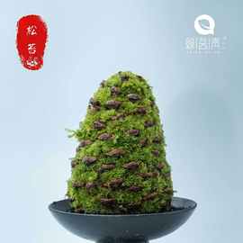 松苔植物花卉微景观水培办公室桌面内好养盆栽送礼批发包邮