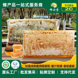 高端酒店蜂巢蜜批发整箱巢脾展会蜂蜜成熟封盖整张蜜脾批发
