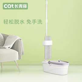 清洁球/刷;玻璃清洁器;拖把、拖布桶