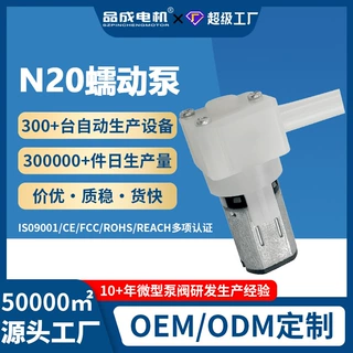 定制N20微型直流蠕动泵6v蒸汽梳自熨斗机擦窗机美容雾化仪蠕动泵
