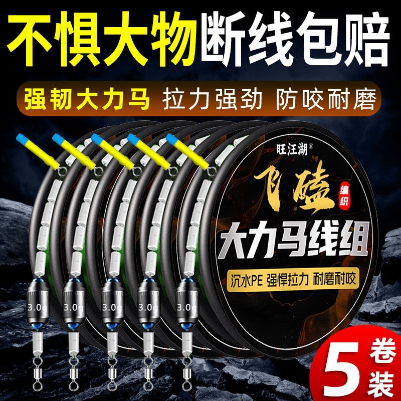 Complete set of fishing line for large fish, including main line and leader line, suitable for catching crucian carp, silver carp, bighead carp, and grass carp. Brand: Dali Ma