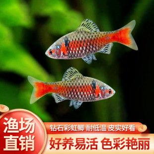 �ʯ�ʺ��a�M��������ˮ�ͺ����B�Ꭷ�~ԭ���~С�ͻ��wȺ���^�p�~