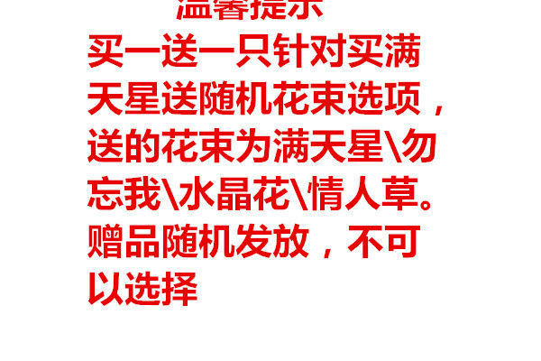 376e502f-5cba-40e6-880d-ed8b474b1cbe.jpe