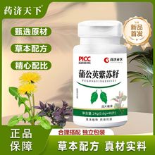 蒲公英紫苏籽压片糖果草本植物40片药食同源工厂货源批发一件代发