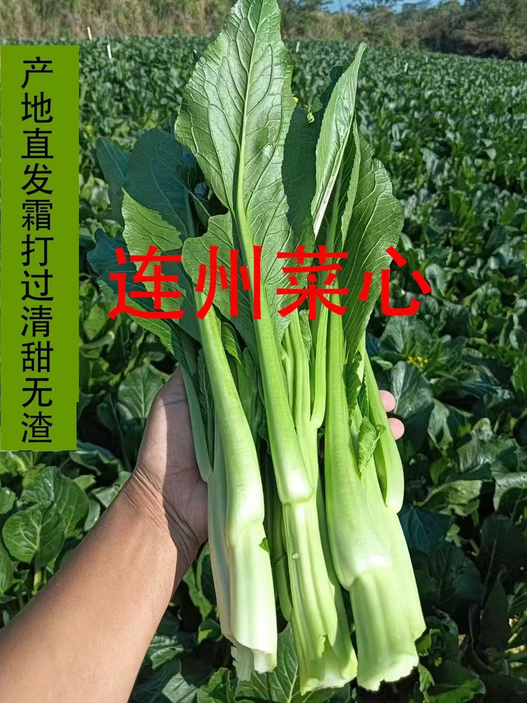 微信图片_20241025195333