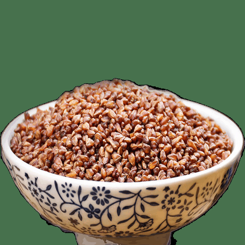 Tartary Buckwheat Tea Ku Qiao Cha 500g Whole Embryo Loose Grain Tea Sichuan Liangshan Restaurant Use in use