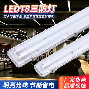 ���̌��÷�ˮ���mled������һ�w���������L�lLED T8�������L�l��