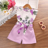 Set, summer children's clothing, jacket sleevless, children's clothing, wholesale