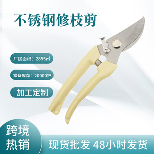 Cross-border stainless steel pruning shears garden shears garden shears branch scissors
