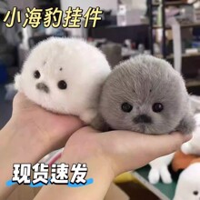 �ɐ�ë�qС�����������В���ֹ��������o���溣����ߺ��������