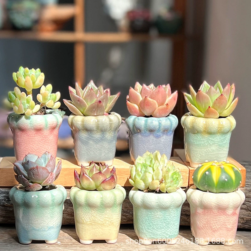 Мясо-керамический горшок зеленая посадка мини-горшок для больших пальцев печь для льда