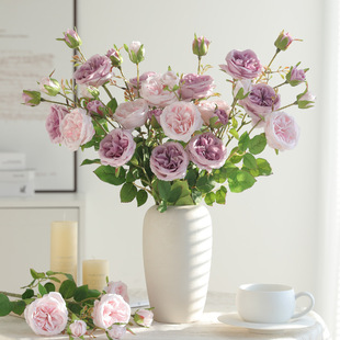 �Wʽ����W˹����ĵ������õ���c·�������üҾ��b�¶ɏ�ٻ�