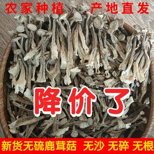 ¹�׹���؛¹�׾�500g���]�����๽���r�^�����خa�Ҝ�ʳ���㹽