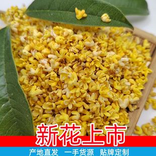 �ɹ�ʳ�ù𻨸ɽ�𻨏V�������خa���̲�ԭ�Ϲ𻨲����l�_��