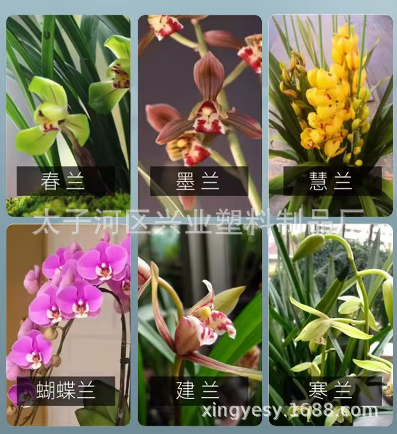 微信图片_20241219130845