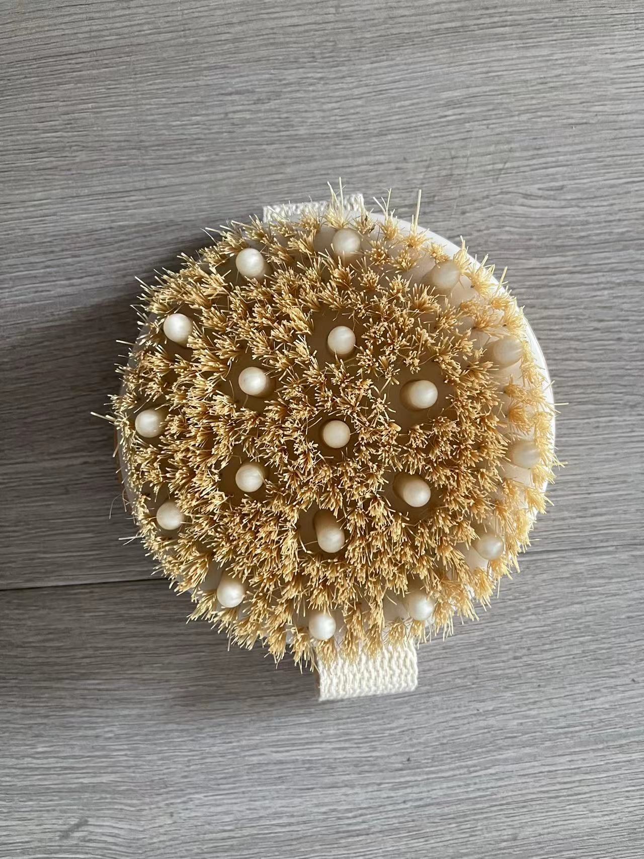 e1e3a9f9-c654-403b-ab34-8cd203