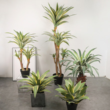 ���������m��߅��߅���鄦�m��٘�͏d�bz�m�����ֲ���辰