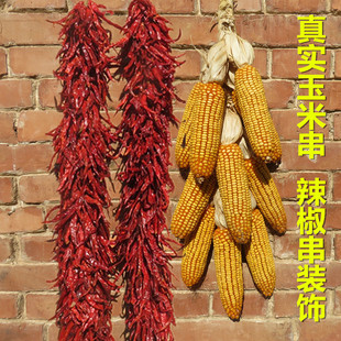 Decorative Corn Ears and Grains for Hanging, Rustic Farmhouse Style Corn Cobs