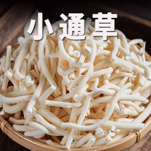 野生小通草中草药通草中药材另王不留行哺乳期通草新货正品