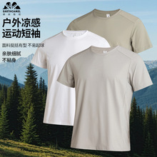 ������羳2026�¿�654#��ʿ�ٸɈA�I����T���ļ�͸���\�����e