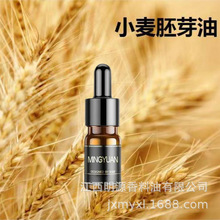 С����ѿ��  wheat germ oil���ṩ��Ʒ