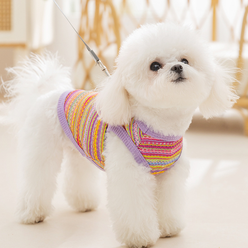 Perro de verano viento bohemio multicolor trenzado chaleco hueco Teddy Bear Gats miniature perro ropa de mascotas