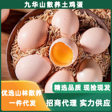 【50送10枚】九华山散养土鸡蛋当季新鲜现捡深山农家土鸡蛋草鸡蛋