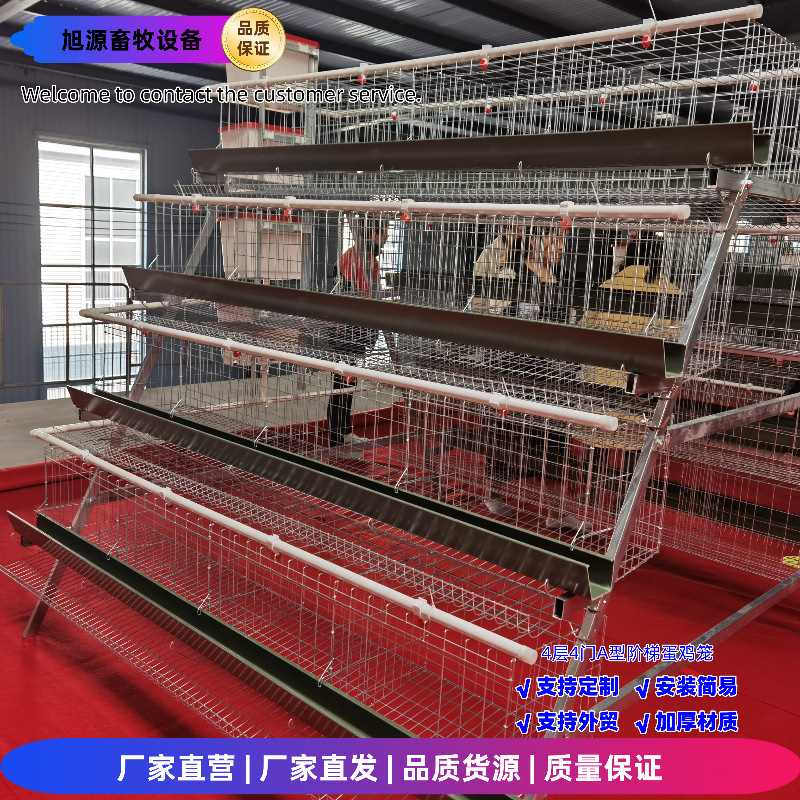 Una jaula de huevos de 4 capas de 4 puertas, una jaula de escalones tipo A, tecnología de galvanizado en frío / galvanizado en caliente, crianza de gallinas