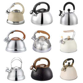 跨境不锈钢水壶批发高级感鸣笛烧水壶家用鸣音壶Whistling Kettle