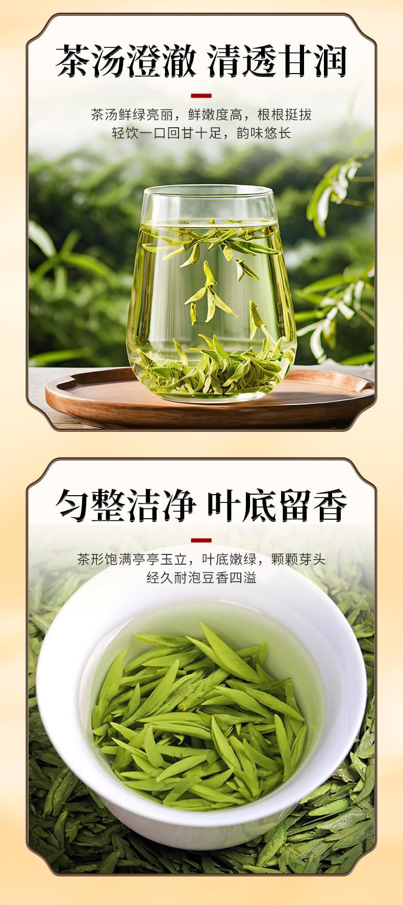 Tie Guan Yin Oolong Tea (Camellia sinensis) — Light Aroma Qingxiang Loose Leaf, 100g Can quality and texture