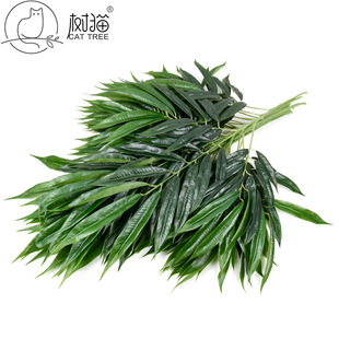 ��؈ ������~4��70cm�y���~�b��~�ӈ����������ϾGֲԴ�^�S��