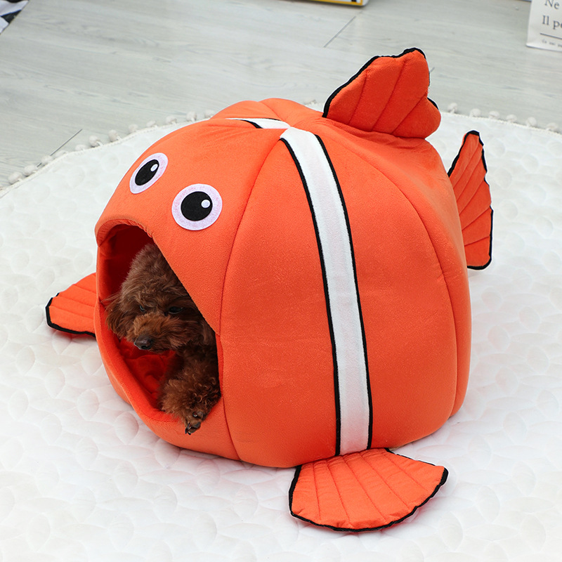 흰동가리