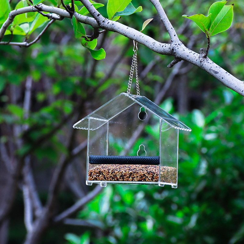 Casa pequeña Alimentador de pájaros Alimentador de pájaros al aire libre Alimentador de pájaros acrílico con ventosa Alimentador de pájaros de vidrio Verde