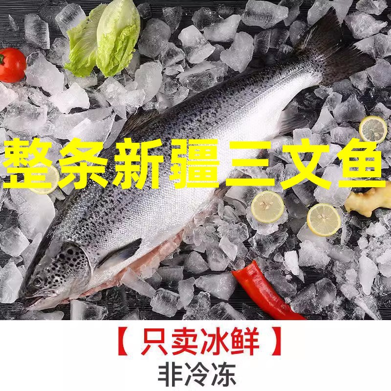 国产新疆三文鱼整条冰鲜免费开片去皮去内脏三文鱼新鲜批发