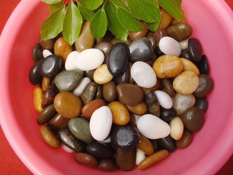 9f147e9c-3ada-48c6-ad79-6922ba5fccbb.jpe