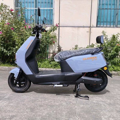 Trade Customization, Elektrikli motosikletlər
