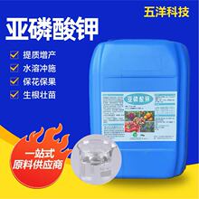 亚磷酸钾叶面肥柑橘果树蔬菜瓜果花卉高钾肥料膨果抗病冲施肥