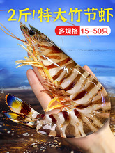 九节虾斑节虾特大竹节虾基围虾大虾海鲜虾鲜活速冻海虾黑虎虾