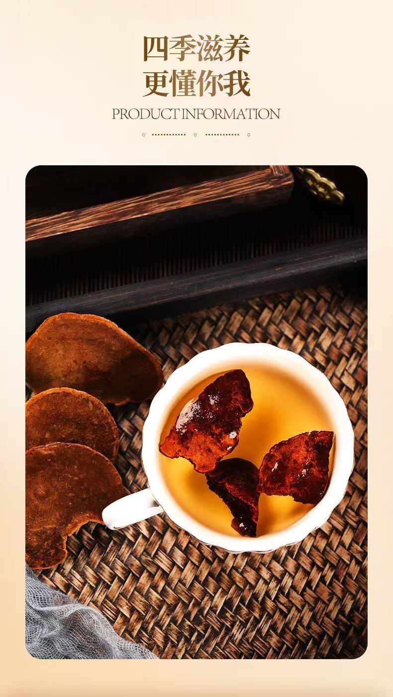 Premium Sang Huang Mushroom Dried Slices Wild Harvested for Cooking and Decoction specifications