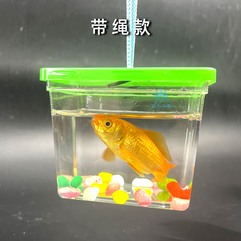 다채로운 사각형 수조 [로프 포함]