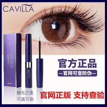 SCavillaޱ^lüëlHپWֲ֧N